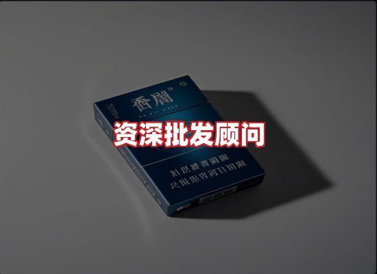 专业团队